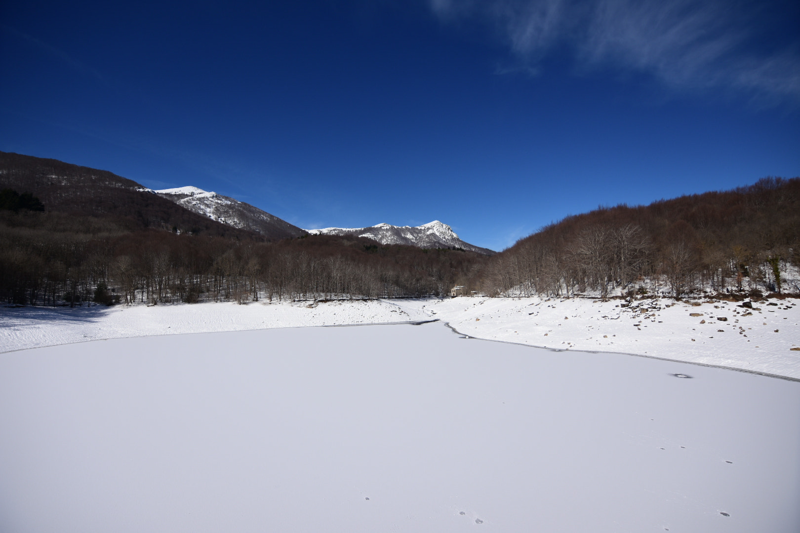 Nikon D7200 sample photo