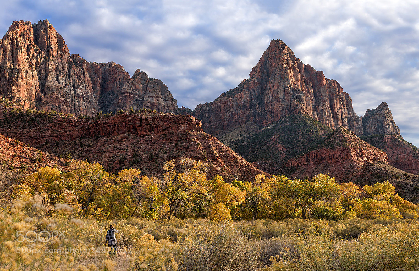 Nikon D750 sample photo. Fall late afternoon, zion photography