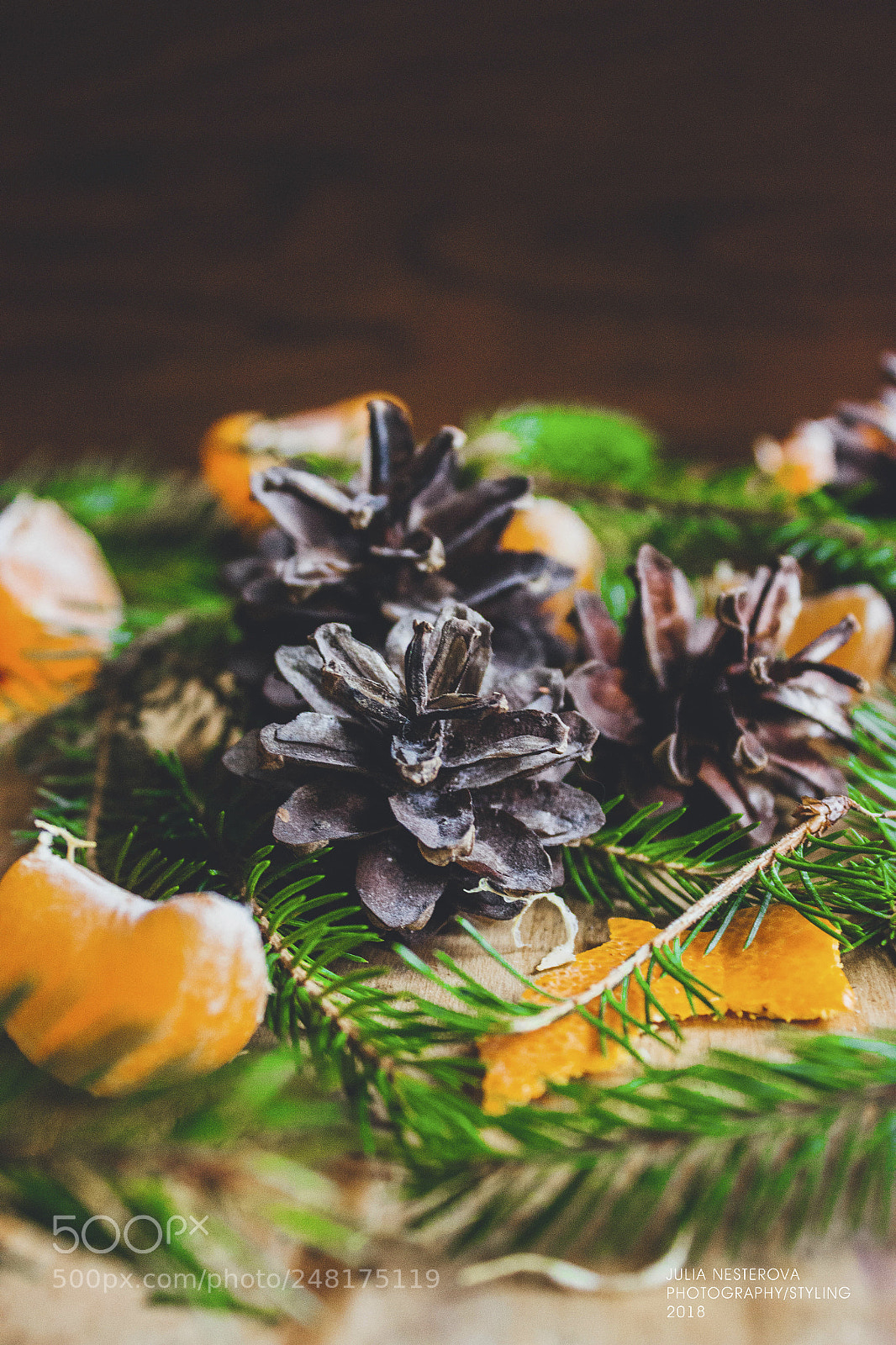 Canon EOS 600D (Rebel EOS T3i / EOS Kiss X5) sample photo. Mandarin and cones photography