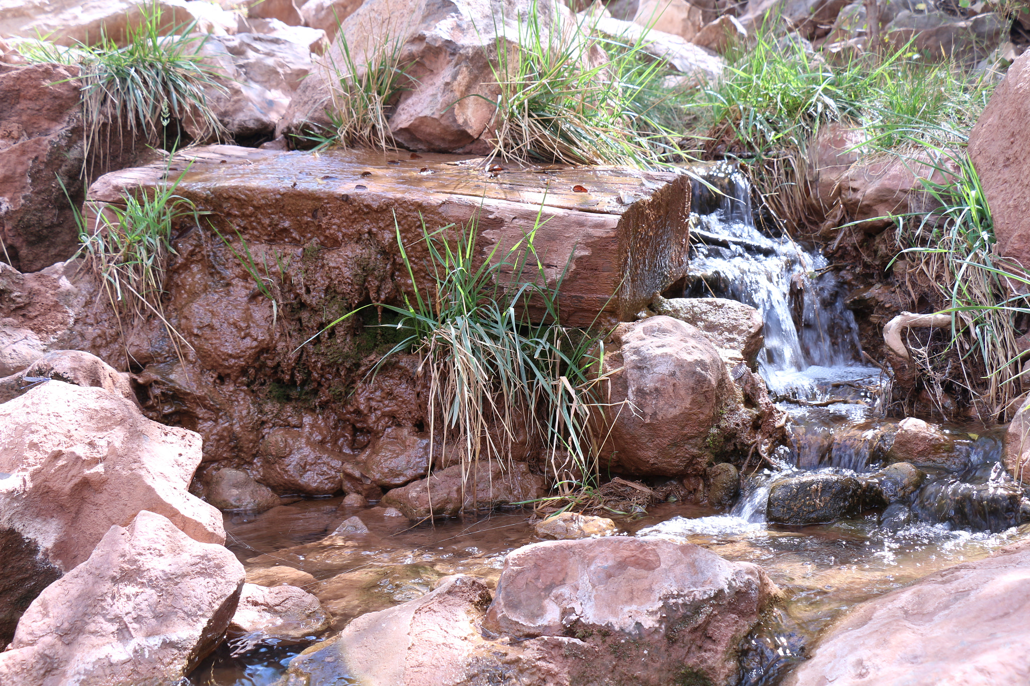 Canon EOS 700D (EOS Rebel T5i / EOS Kiss X7i) sample photo. Small falls photography