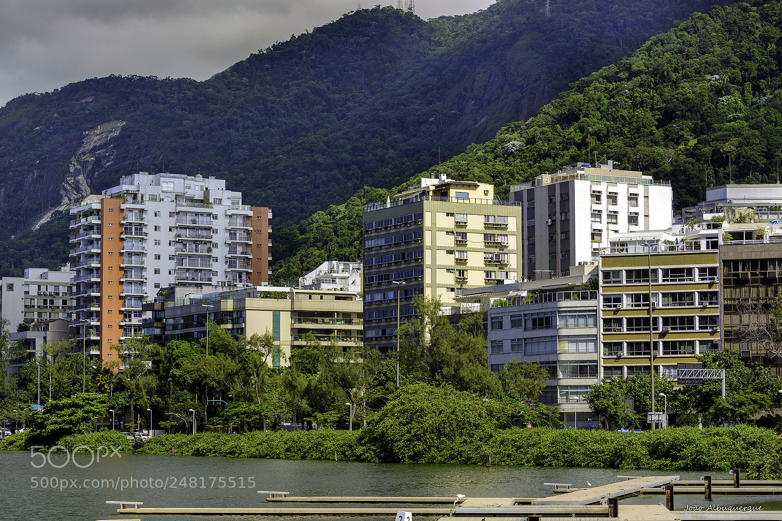 Nikon D5200 sample photo. Urban lush 2 photography