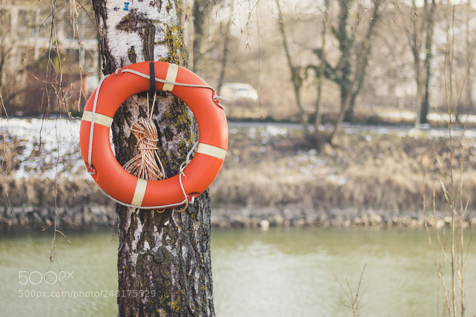 Canon EOS 77D (EOS 9000D / EOS 770D) sample photo. Saving lives photography