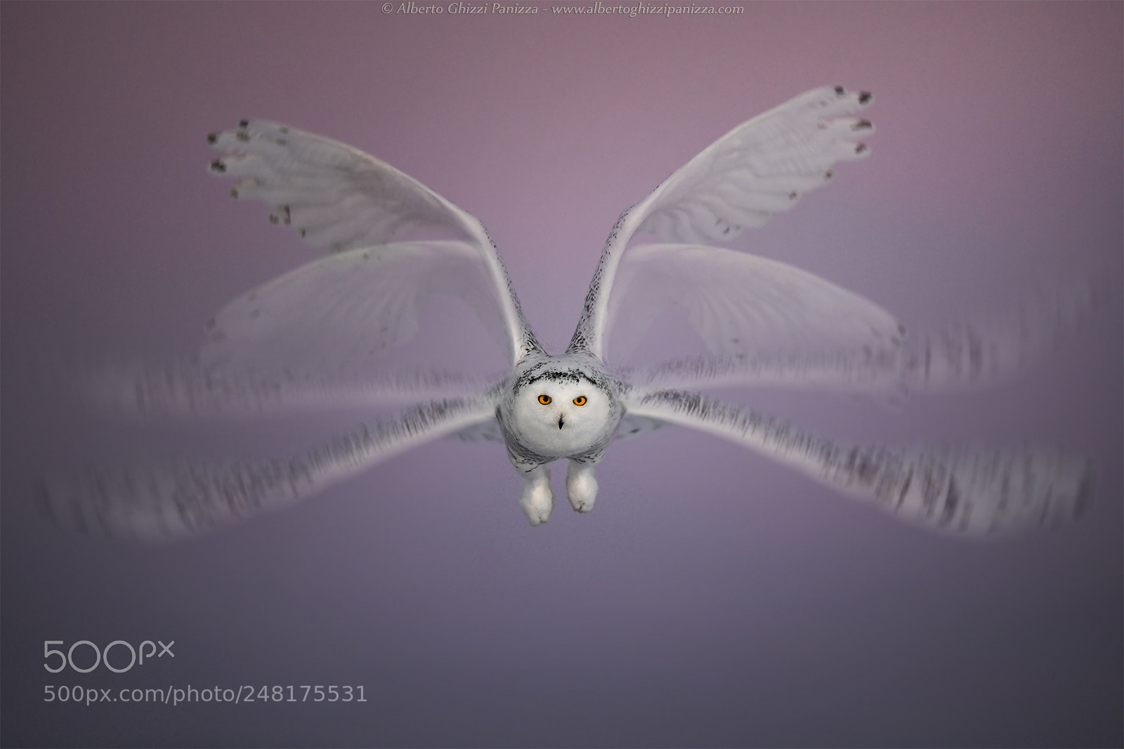 Nikon D850 sample photo. Science of motion of photography