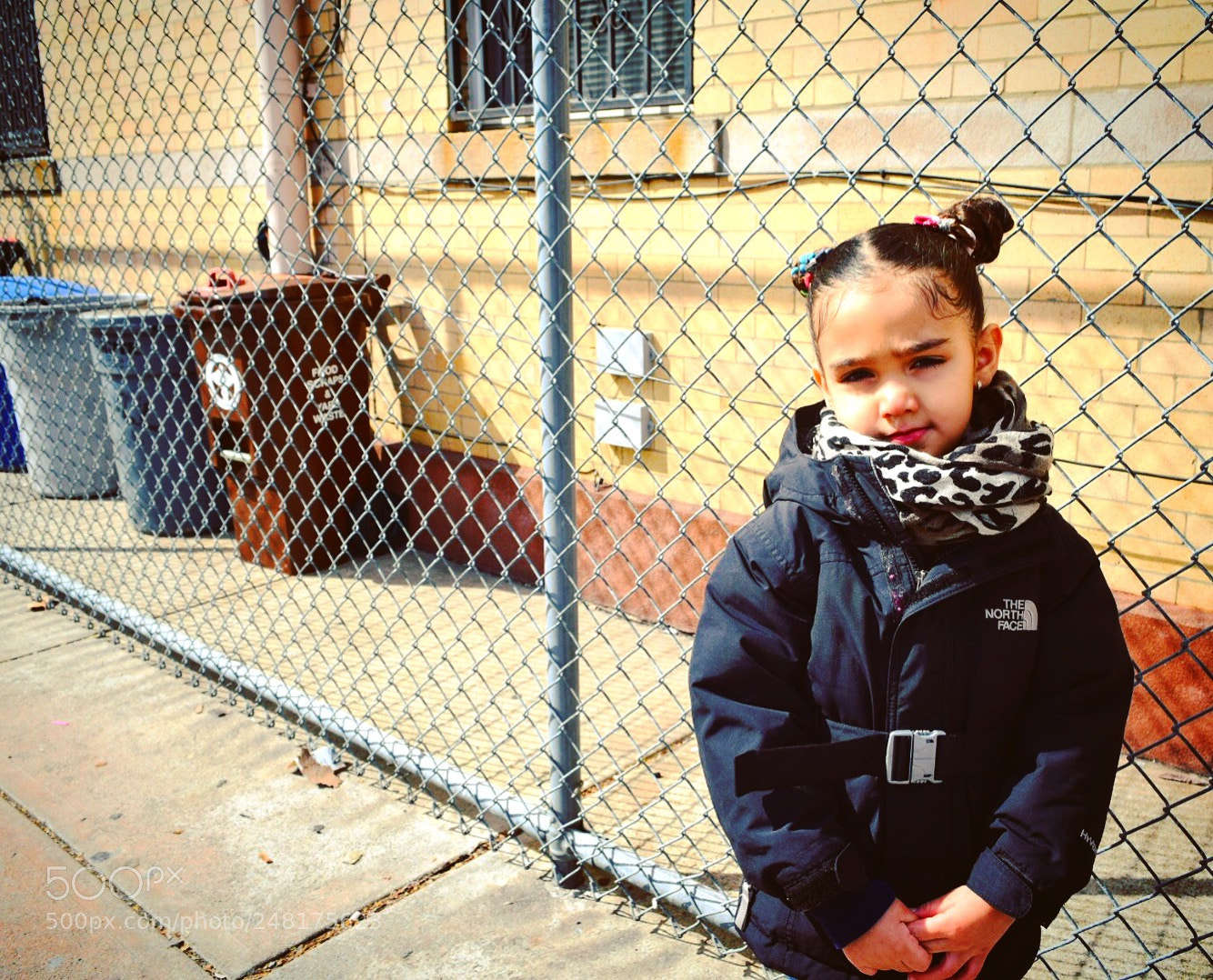 Nikon D5300 sample photo. Untitled photography