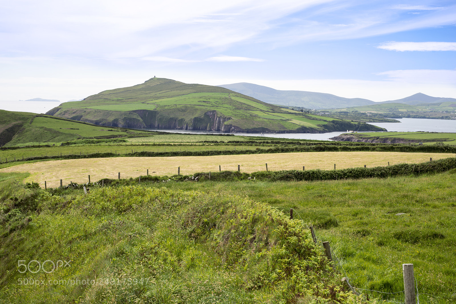 Nikon D610 sample photo. Dingle peninsula fields on photography