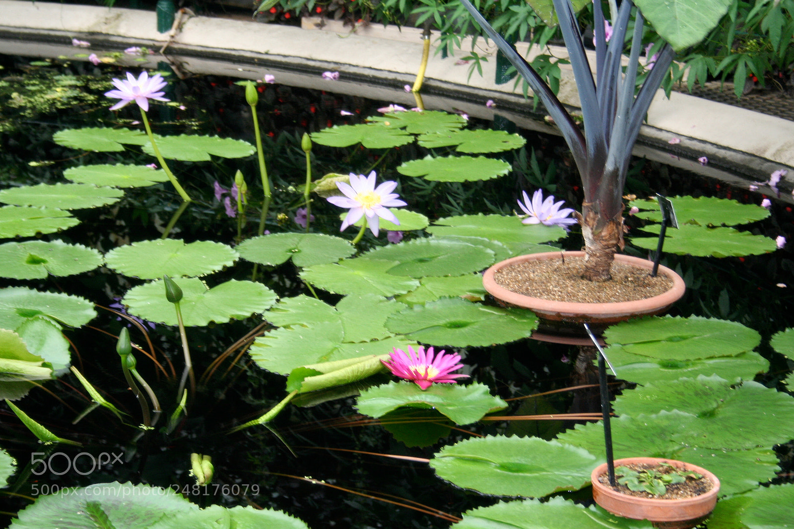 Canon EOS 350D (EOS Digital Rebel XT / EOS Kiss Digital N) sample photo. Img o photography
