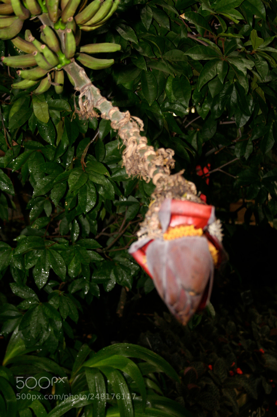 Canon EOS 350D (EOS Digital Rebel XT / EOS Kiss Digital N) sample photo. Img o photography