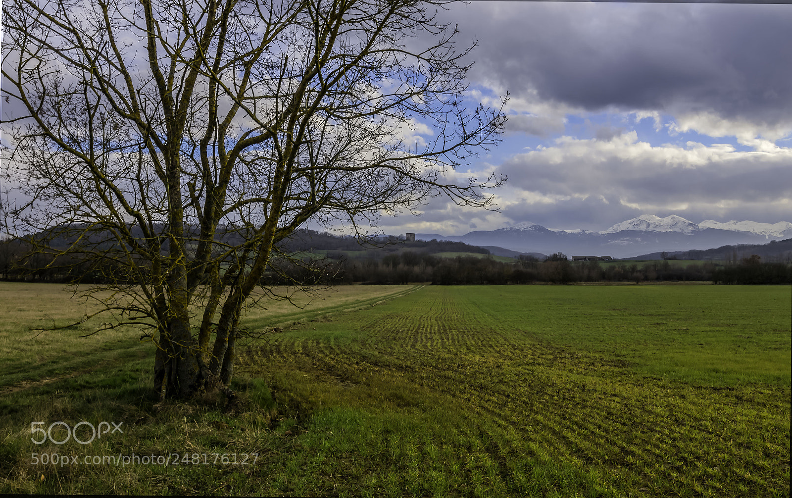 Pentax K-5 II sample photo. Mirepoix photography