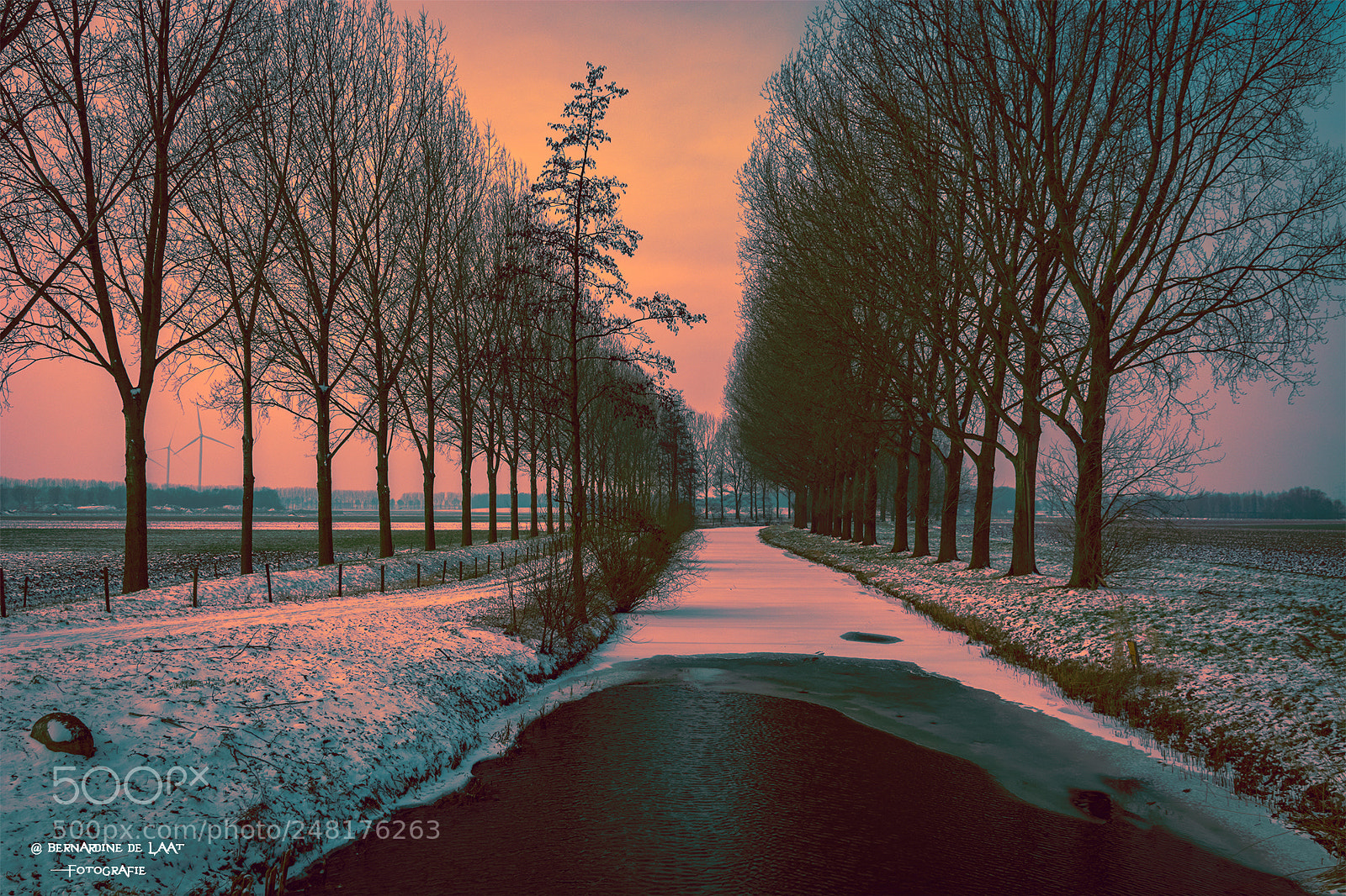 Nikon D7100 sample photo. Colored snow photography