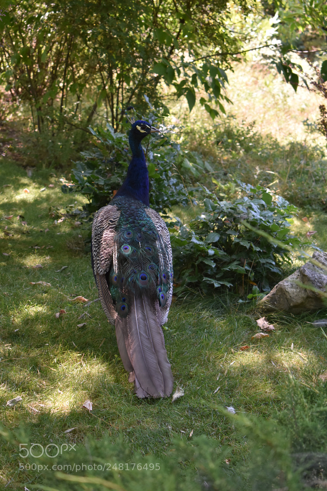 Nikon D3400 sample photo. Untitled photography