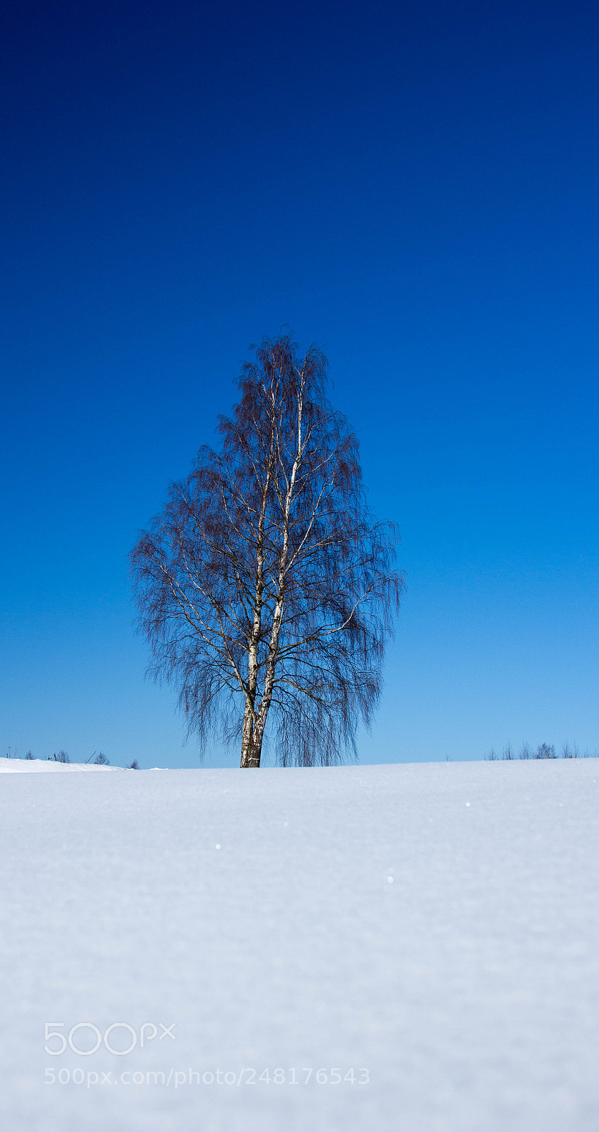 Canon EOS 60D sample photo. Three photography