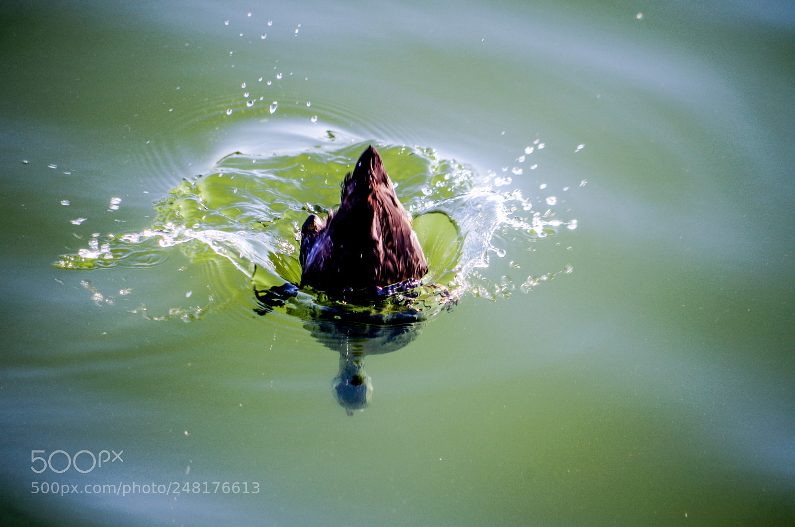 Pentax K-30 sample photo. () photography