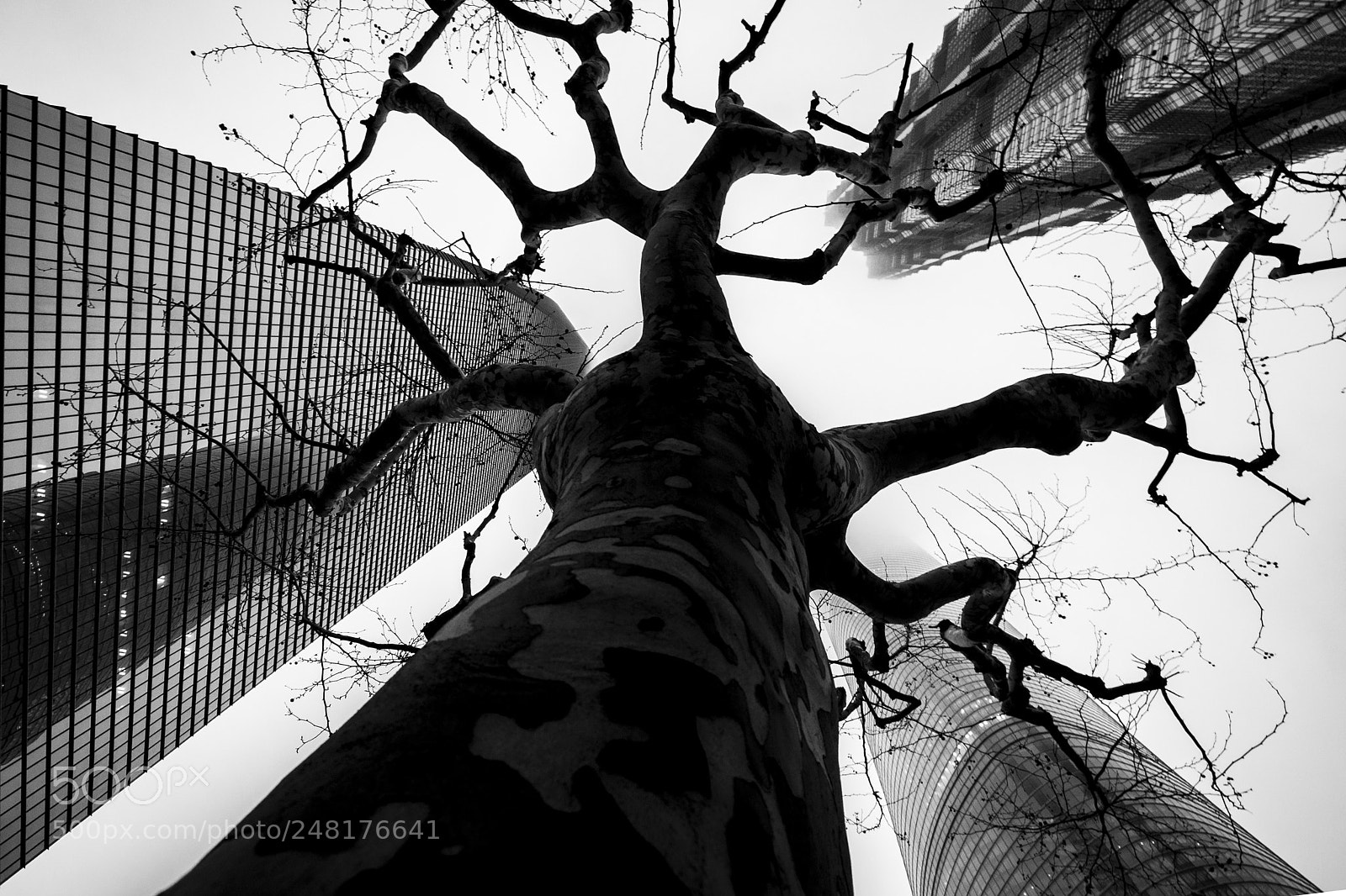 Nikon D90 sample photo. Nature talks to modern photography