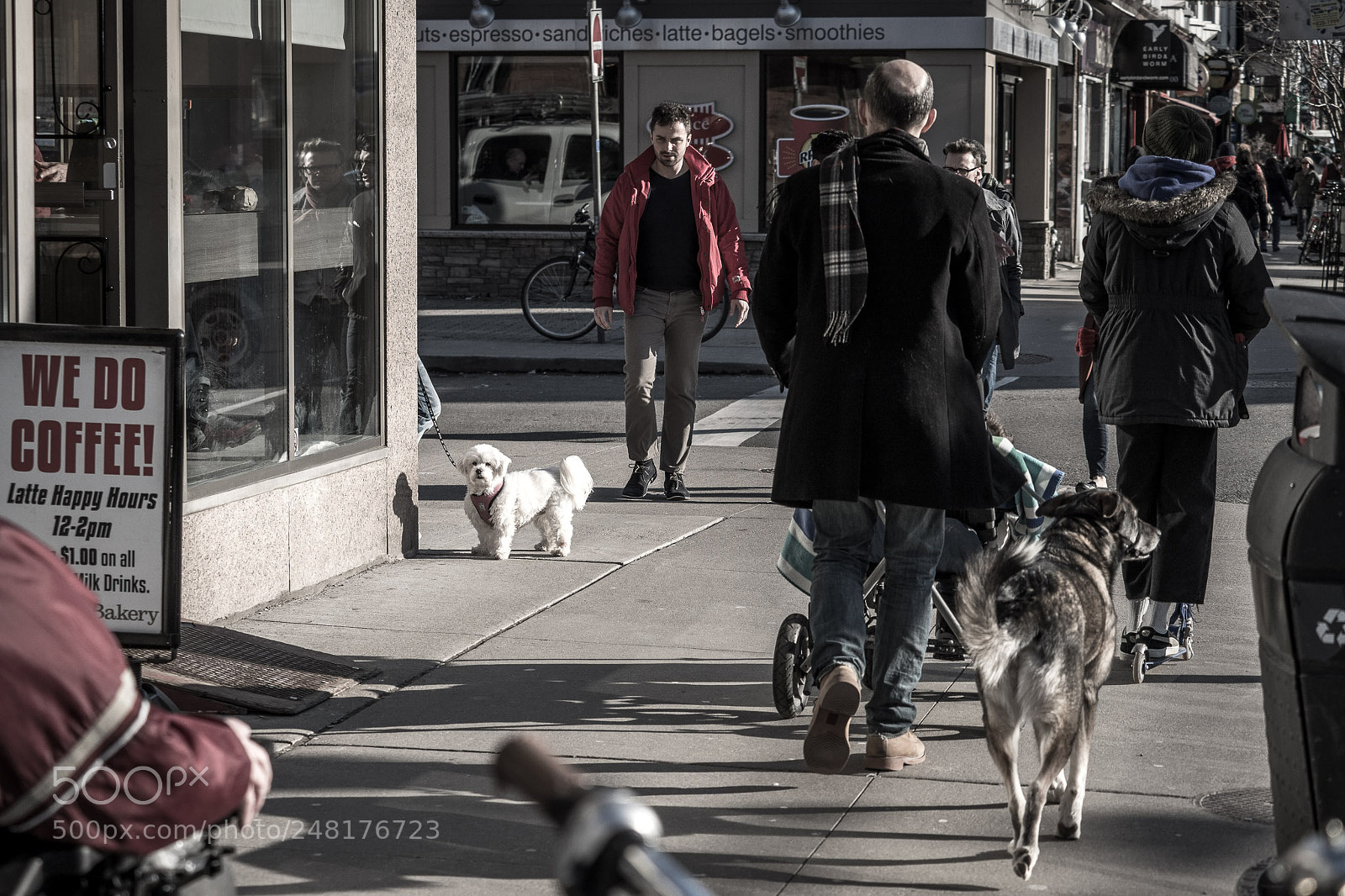 Olympus OM-D E-M1 Mark II sample photo. Ferncorner photography