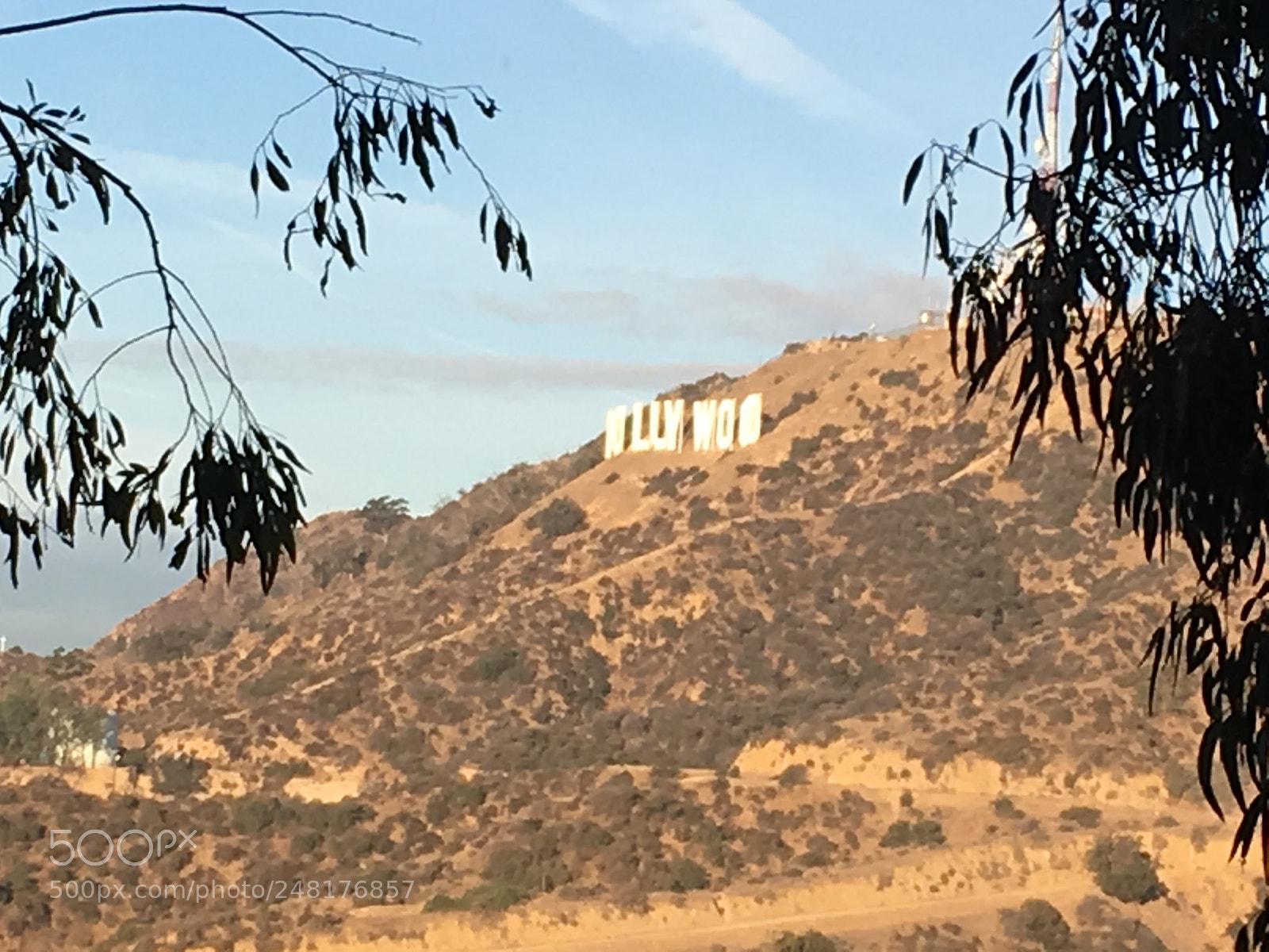 Apple iPhone SE sample photo. Hollywood hillz photography