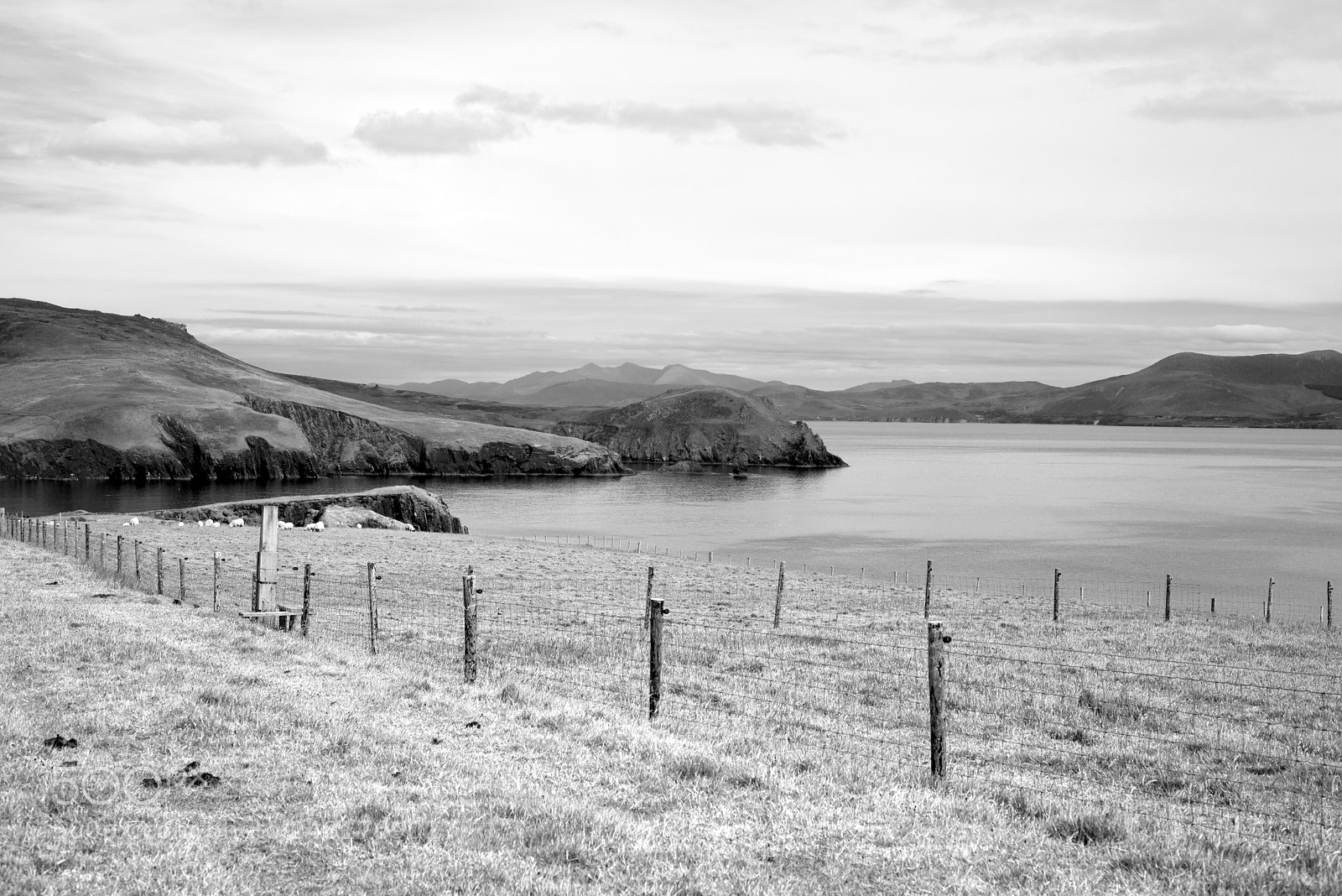 Nikon D610 sample photo. Dingle peninsula farmland on photography