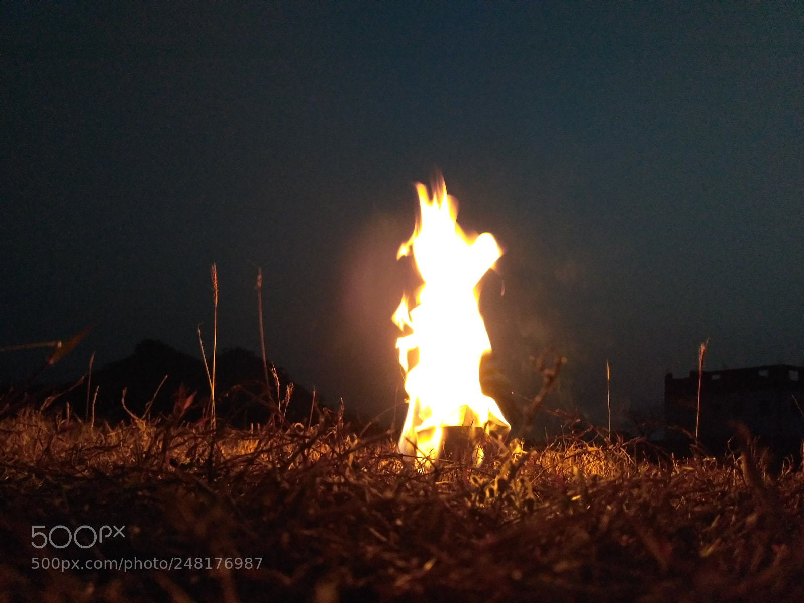 Xiaomi Redmi 3S sample photo. Untitled photography