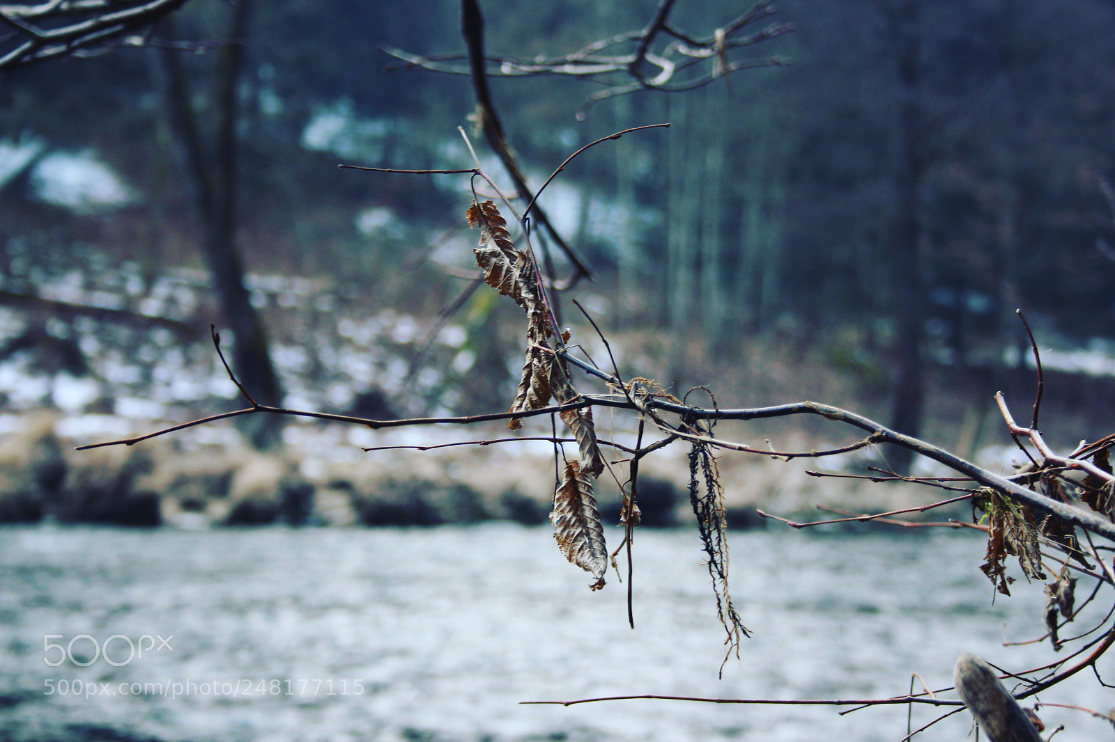 Canon EOS 650D (EOS Rebel T4i / EOS Kiss X6i) sample photo. Enjoy nature :-) photography