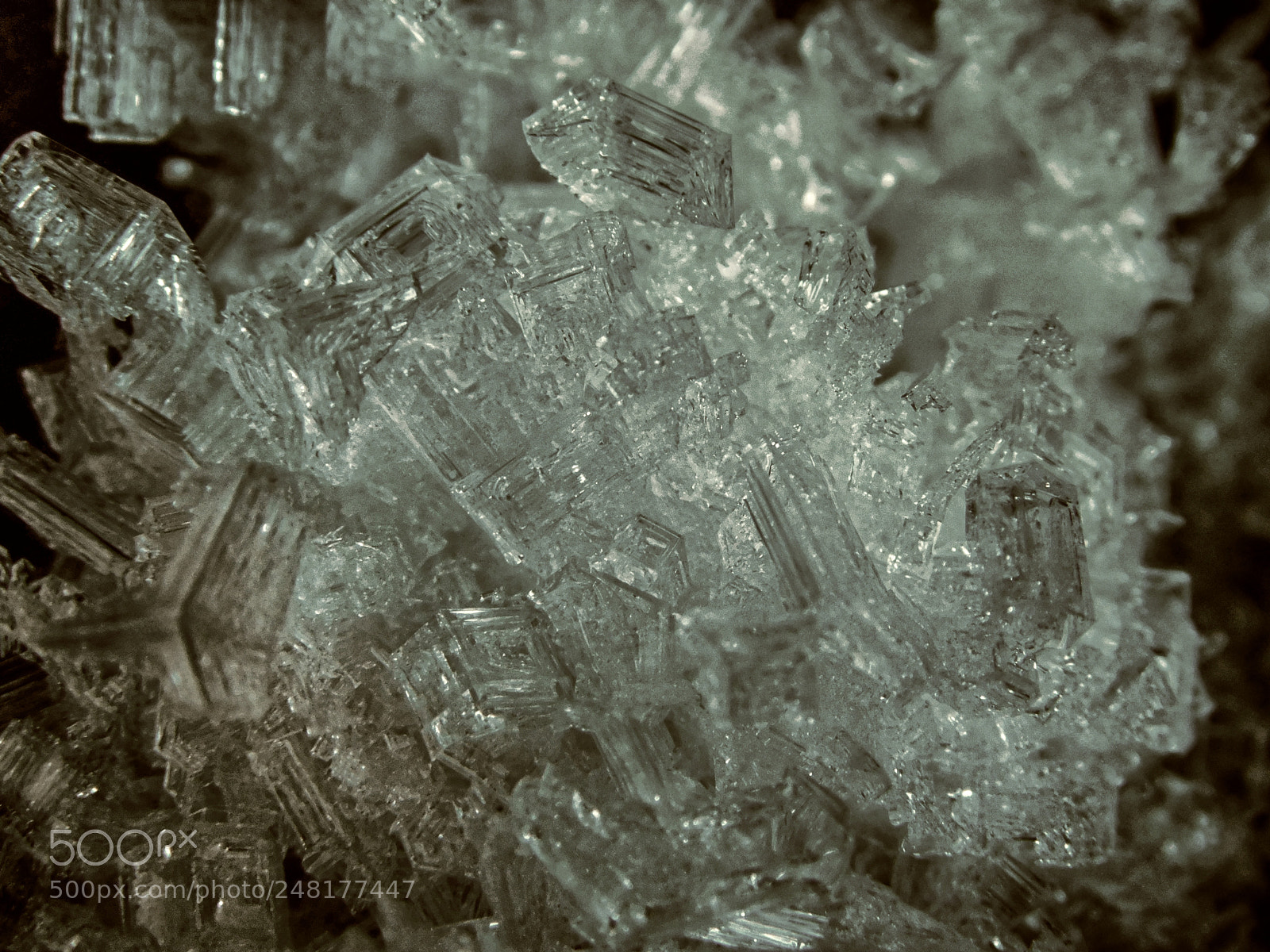 Nikon Coolpix B500 sample photo. Ice crystals photography