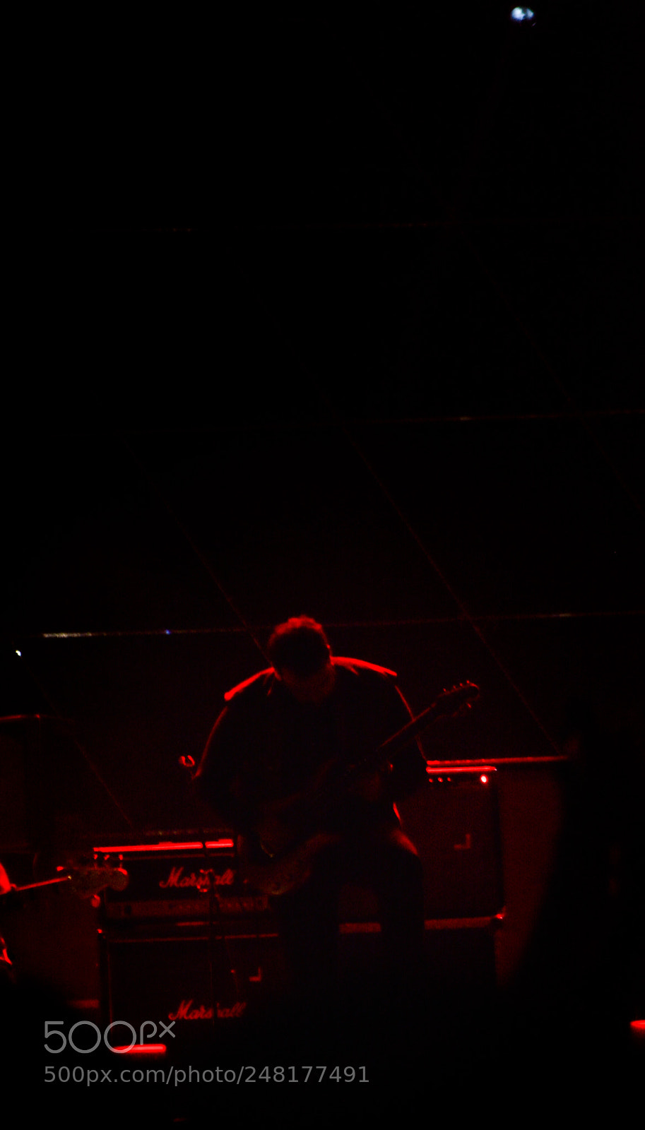 Nikon D5200 sample photo. The red guitarist photography