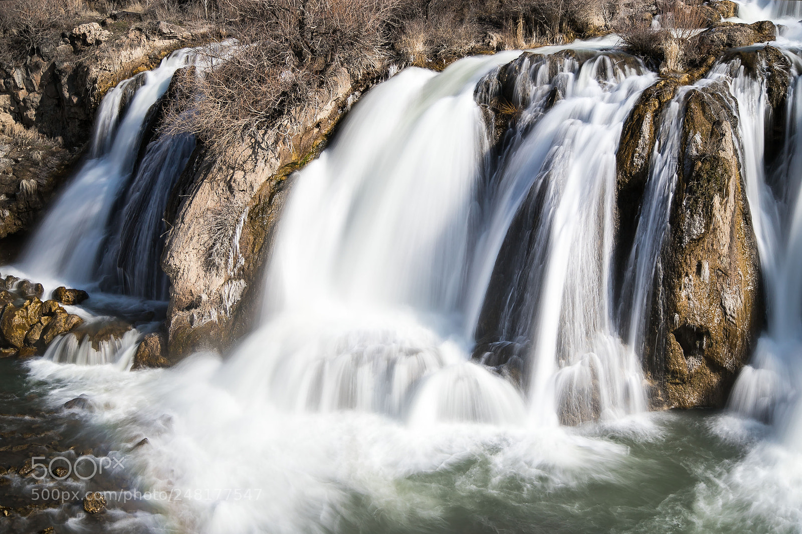 Canon EOS 6D Mark II sample photo. Img photography
