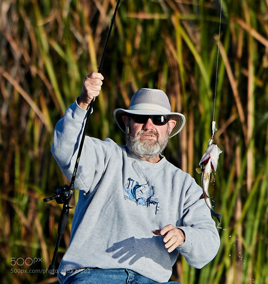 Canon EOS-1D X Mark II sample photo. 03-04-18-0006271 1.jpg photography
