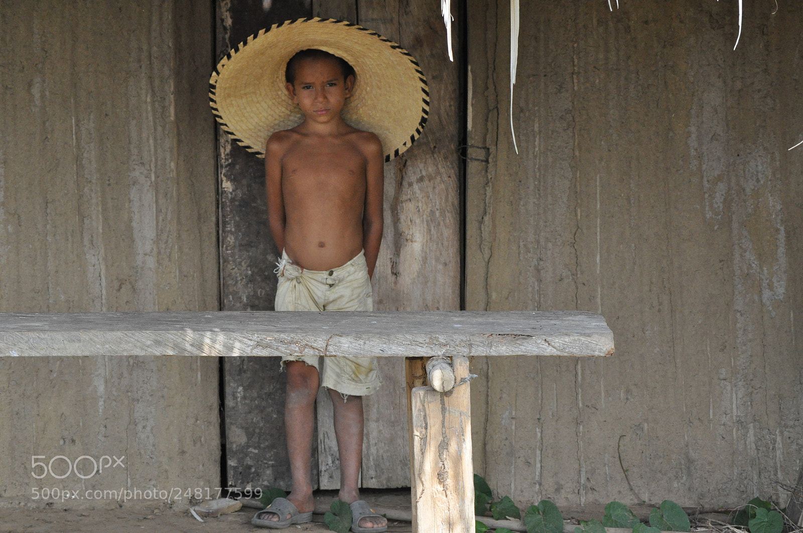 Nikon D5000 sample photo. Jorge... photography