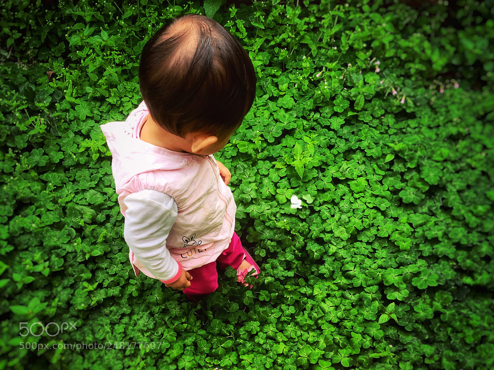 Apple iPhone 6s sample photo. Untitled photography
