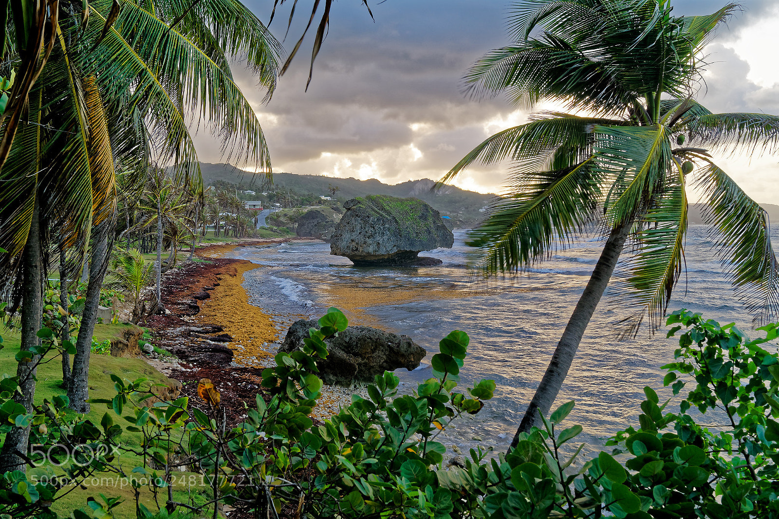 Sony ILCA-77M2 sample photo. Bathsheba photography