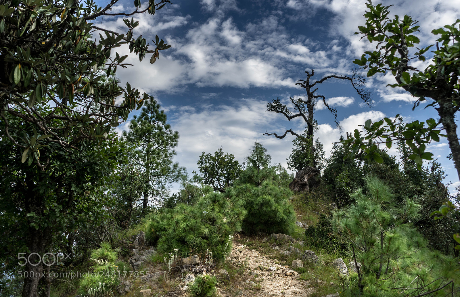 Sony a7 II sample photo. Day trek photography
