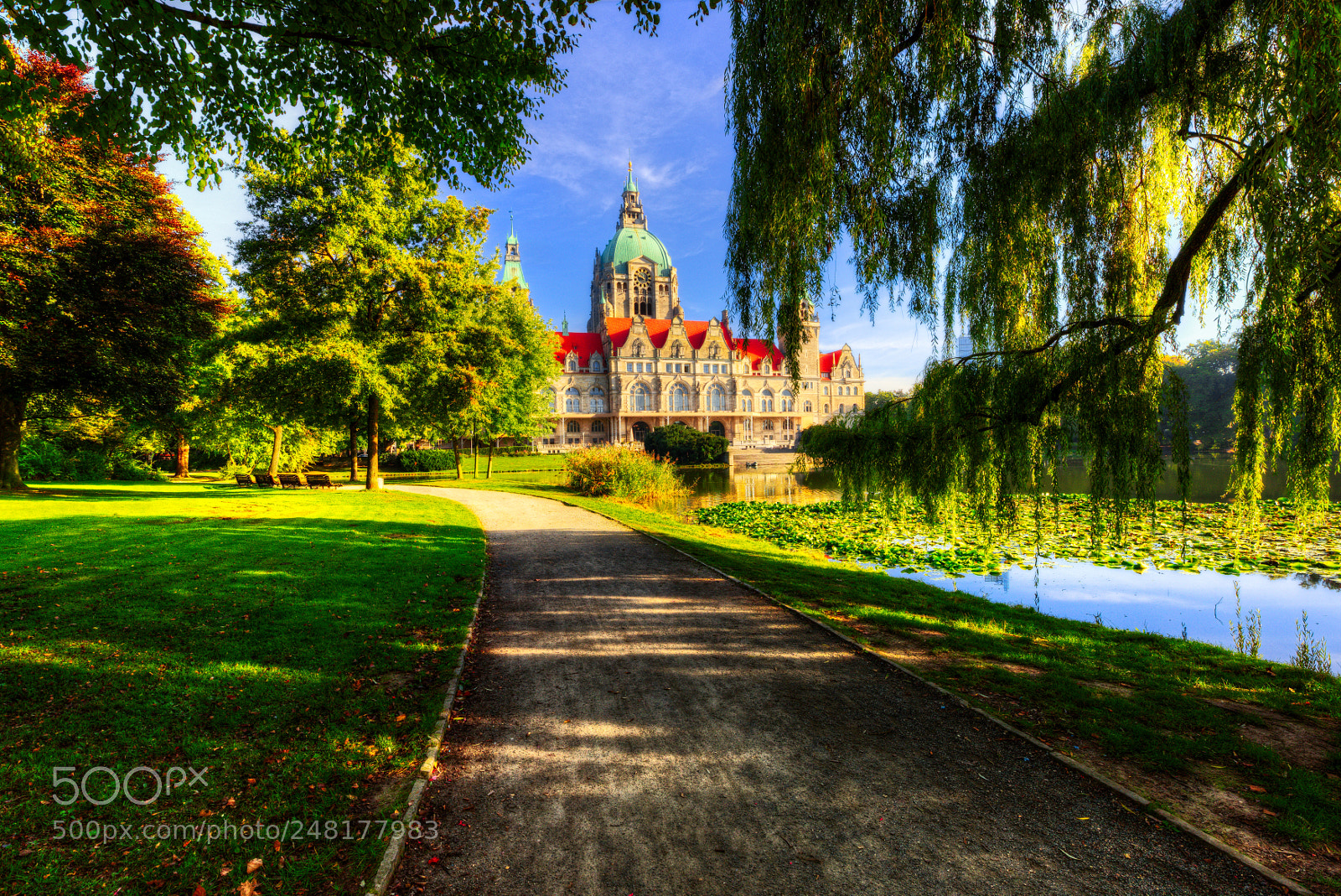 Nikon D810 sample photo. Hannover rathaus photography
