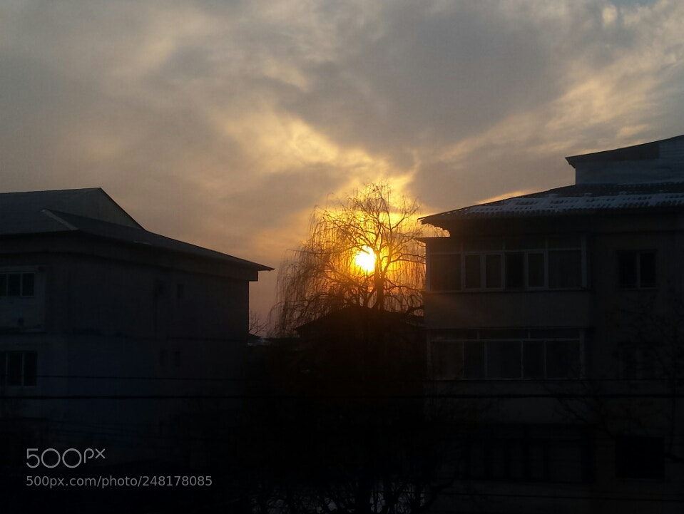 Samsung Galaxy S4 sample photo. Untitled photography