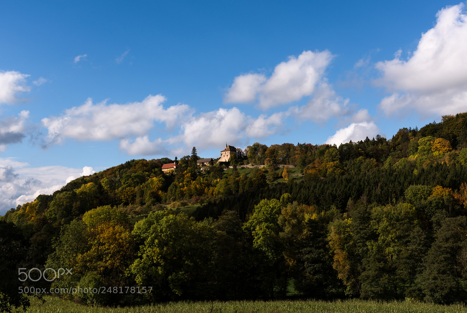 Nikon D810 sample photo. Burg brandenstein photography