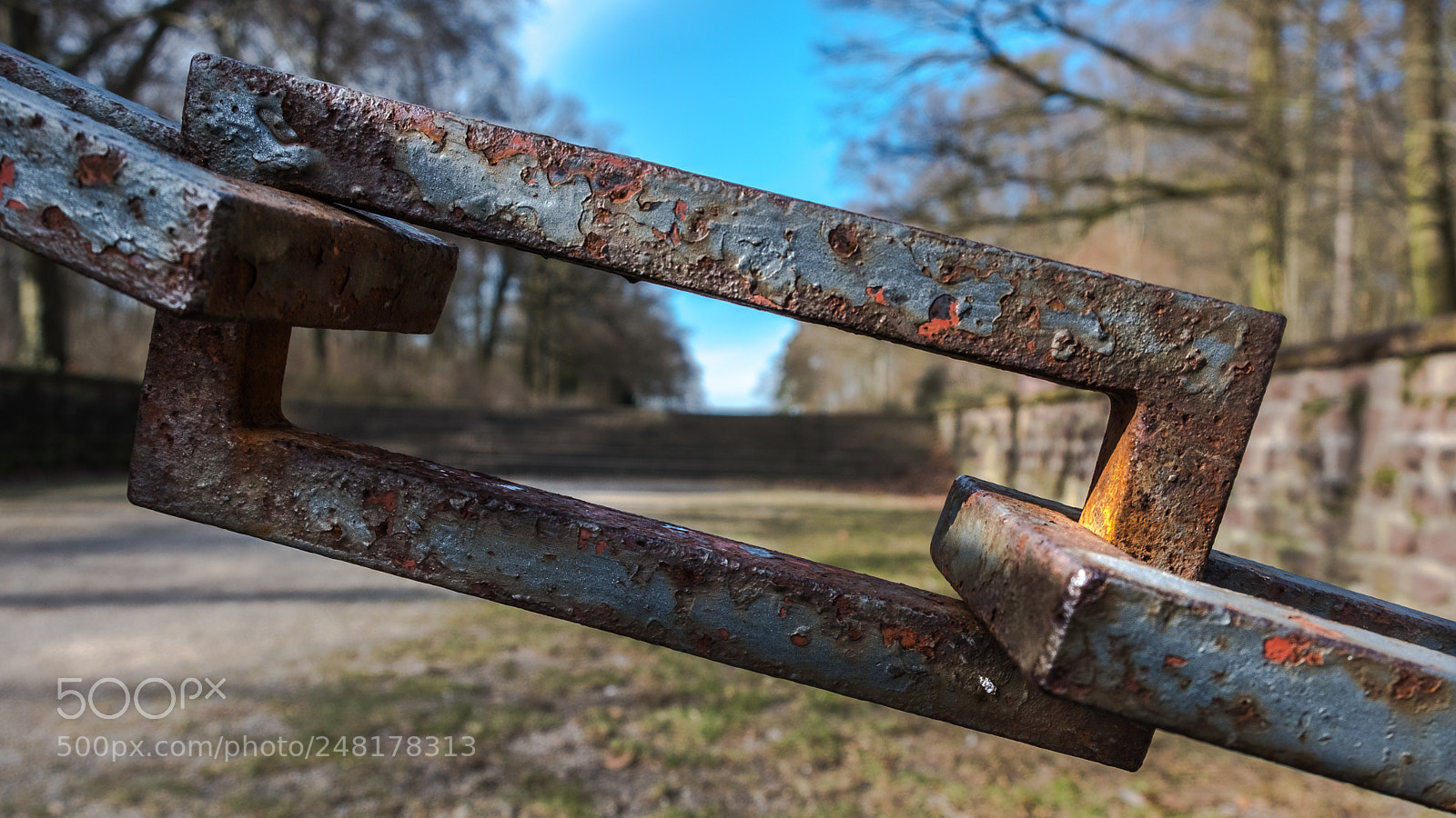 Fujifilm X-T2 sample photo. Ehrenfriedhof photography