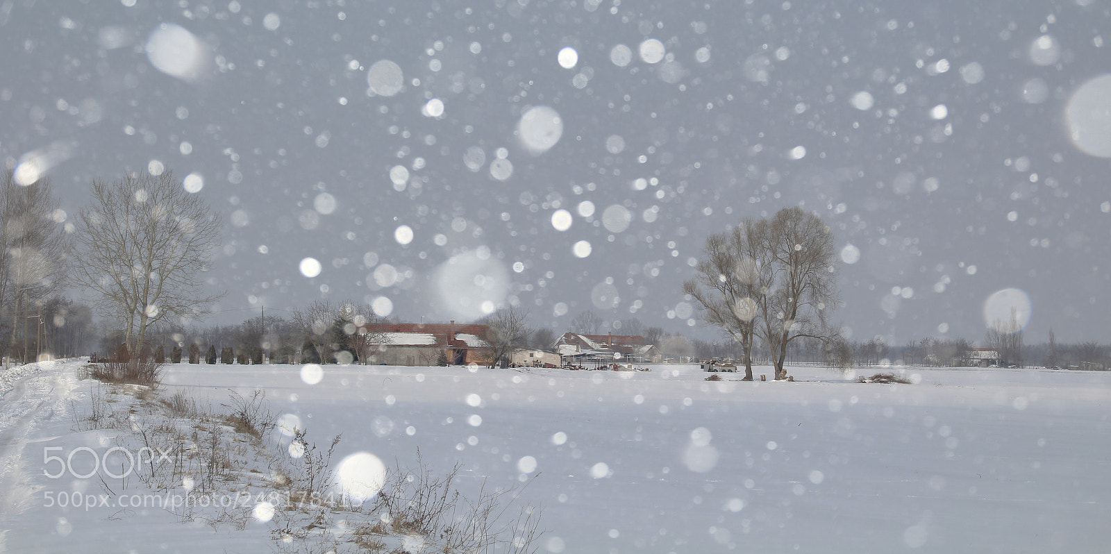 Canon EOS 1300D (EOS Rebel T6 / EOS Kiss X80) sample photo. Snowy weather photography