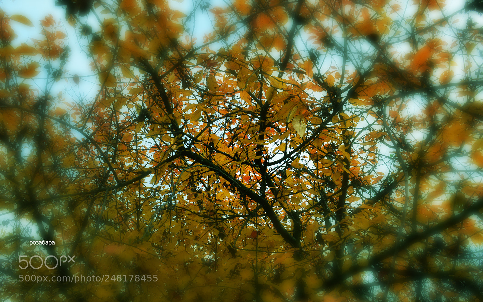Nikon D3200 sample photo. воспоминания всё ярче... photography