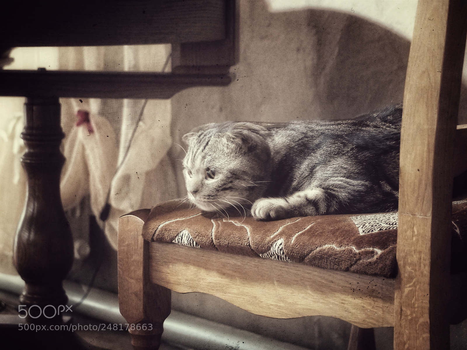 Fujifilm X20 sample photo. Filimon ( photo_approval ) photography