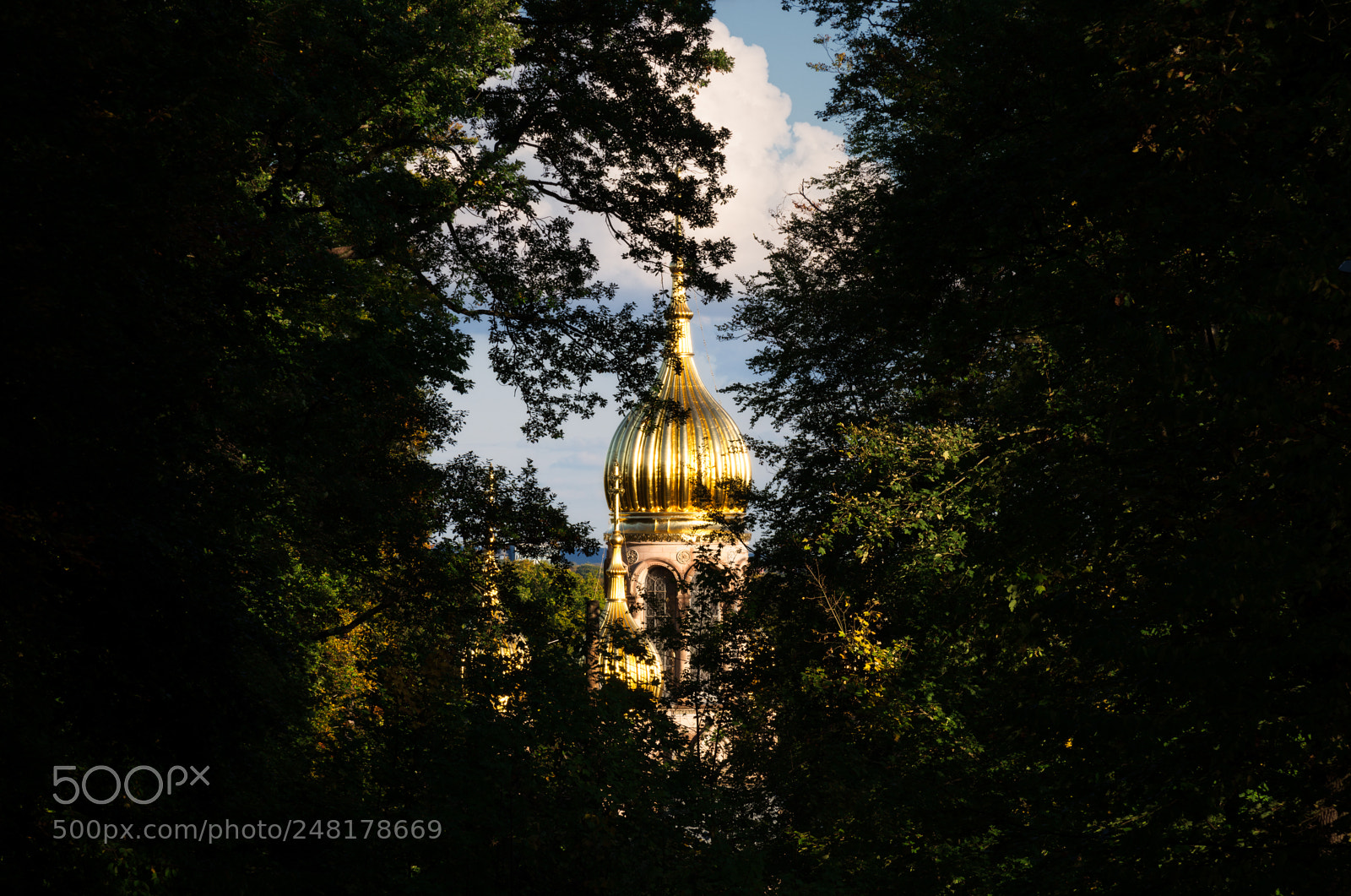 Nikon D810 sample photo. St. elizabeth's church photography