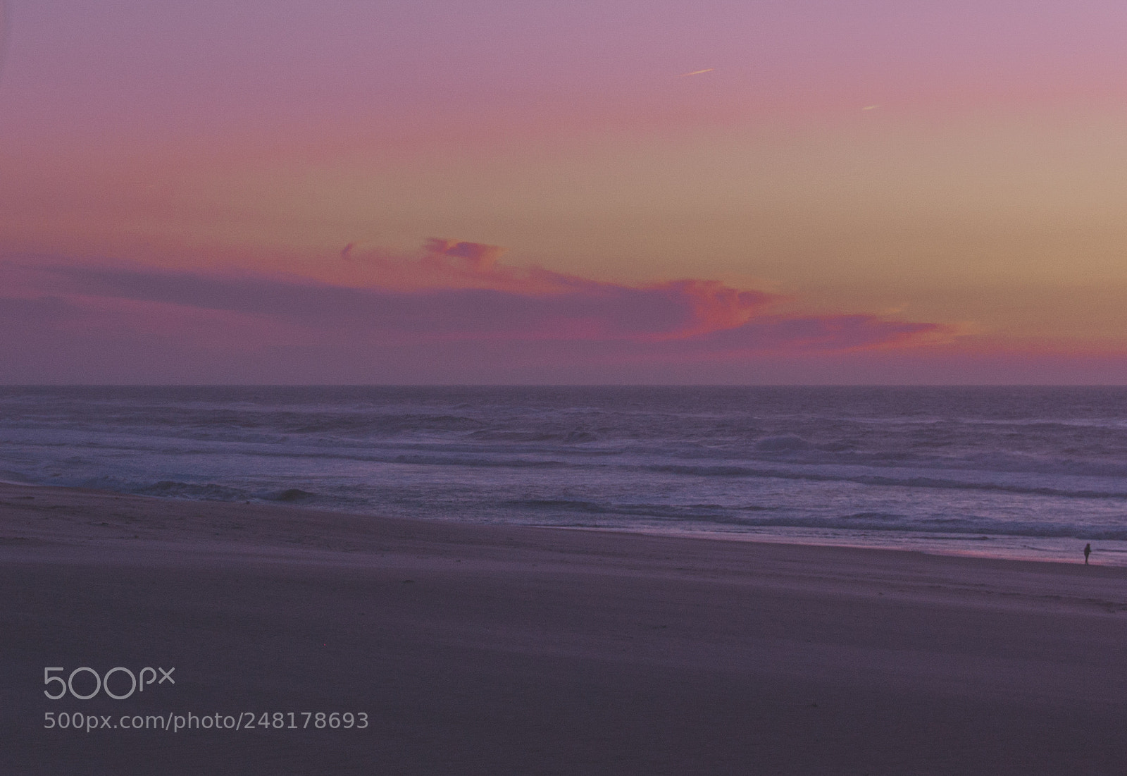 Nikon D40 sample photo. Purple beach photography