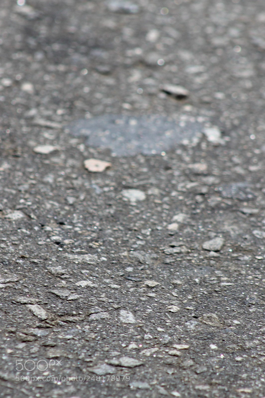 Canon EOS 600D (Rebel EOS T3i / EOS Kiss X5) sample photo. Untitled photography
