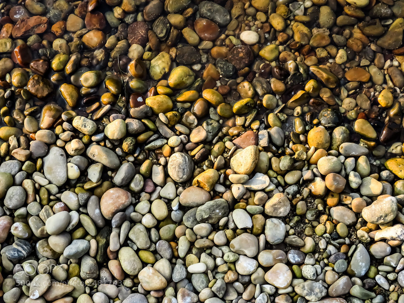 Canon PowerShot SX710 HS sample photo. Composition. 5 photography