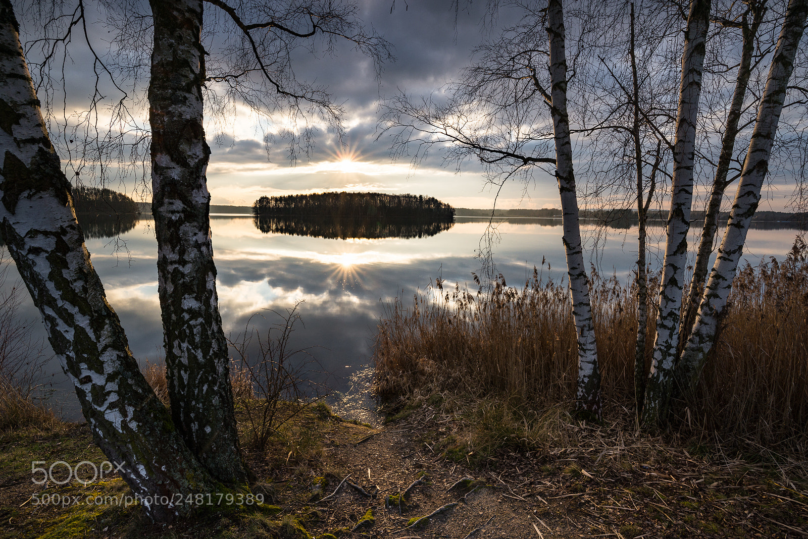 Nikon D610 sample photo. Steinberger see photography
