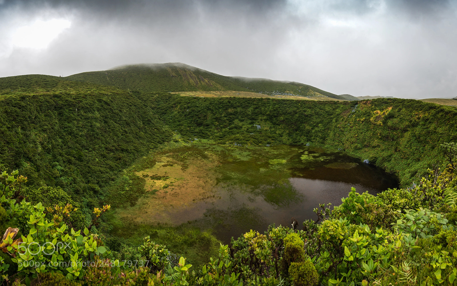 Nikon D610 sample photo. Lajes das flores faja photography