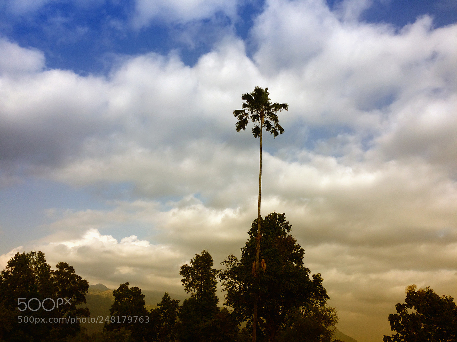 Apple iPhone 5s sample photo. Landscape photography