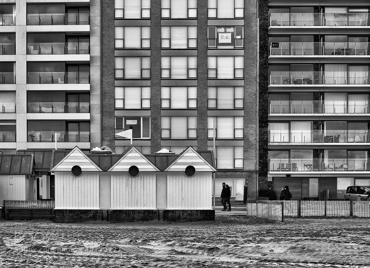 Olympus OM-D E-M10 II sample photo. Preseason knokke iii photography