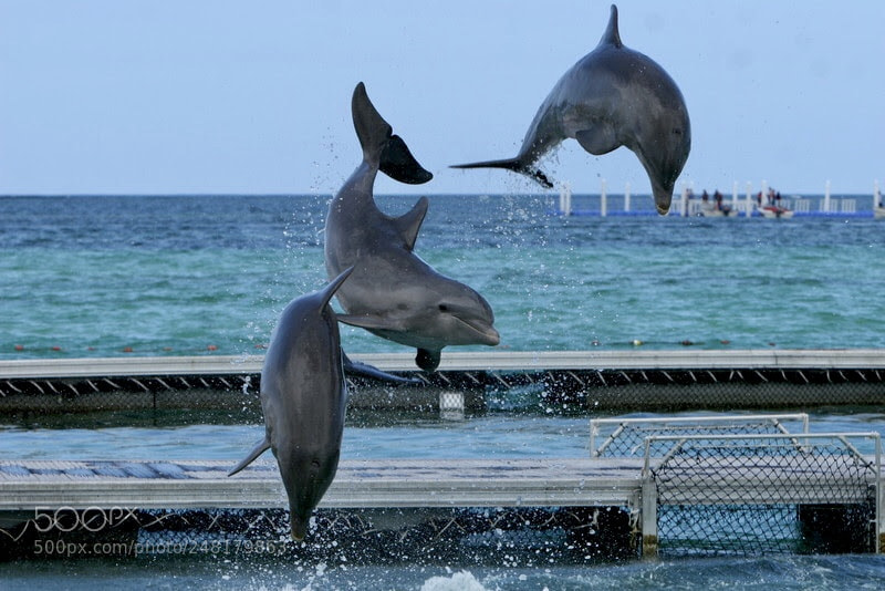Canon EOS 30D sample photo. Punta cana - rep photography