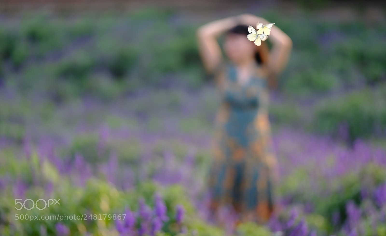 Fujifilm X-H1 sample photo. Lavender field photography