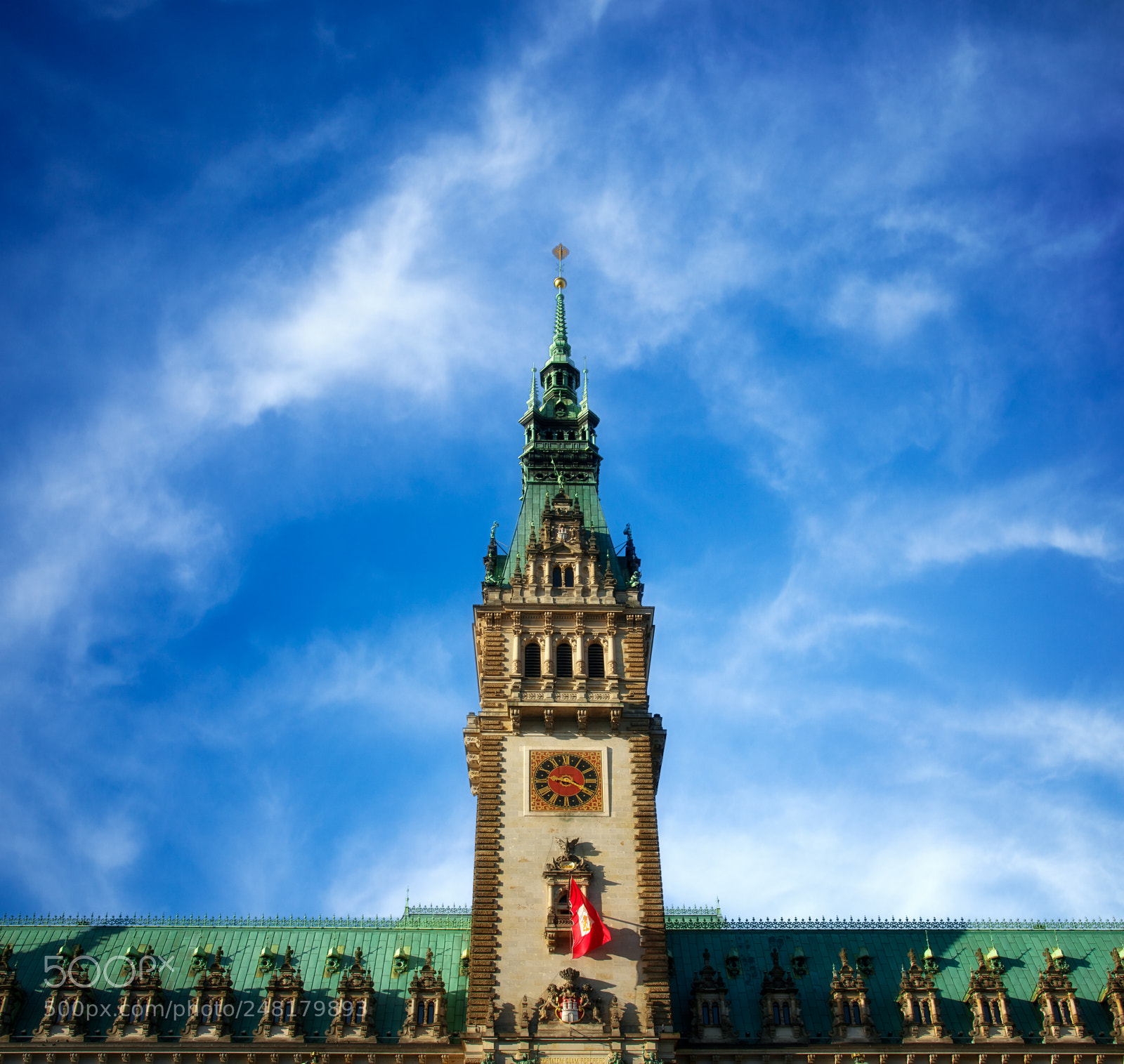 Nikon D810 sample photo. Hamburg rathaus photography
