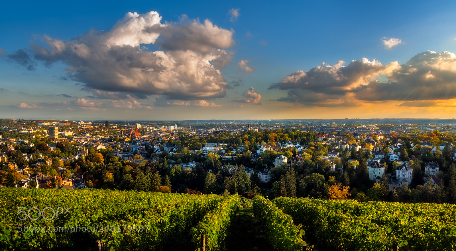 Nikon D810 sample photo. Wiesbaden photography
