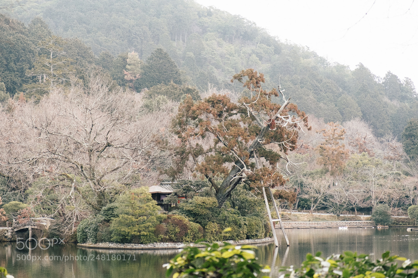 Fujifilm X-T2 sample photo. Dscf photography